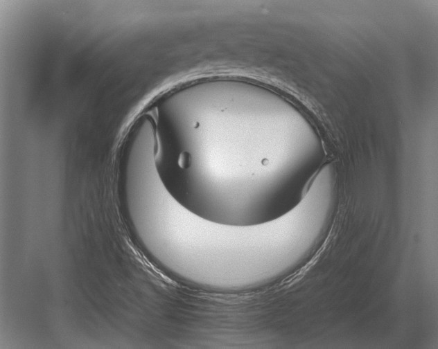 X0000082741502200702161919