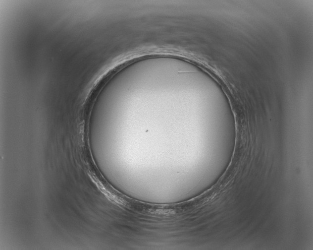 X0000082741503200702161919