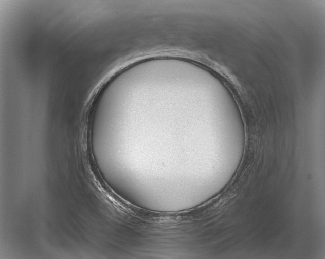 X0000082741504200702161919