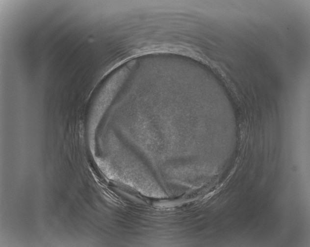 X0000082741505200702161919