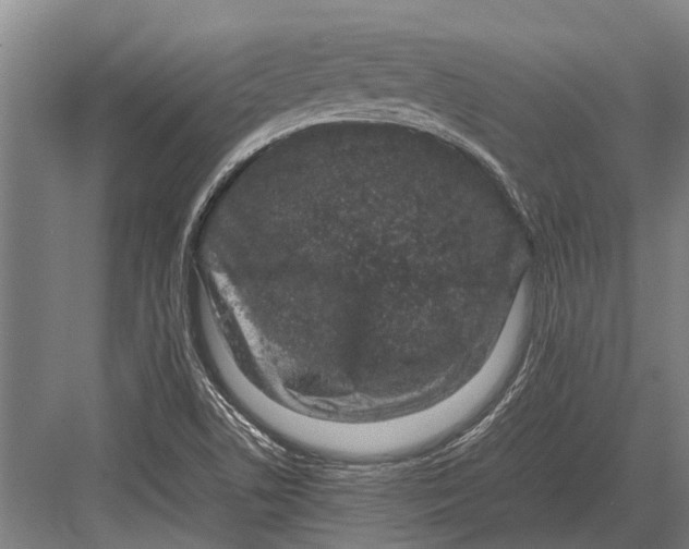 X0000082741506200702161919