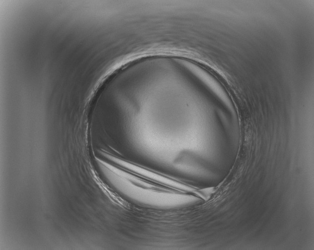 X0000082741507200702161919