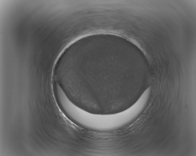 X0000082741508200702161919