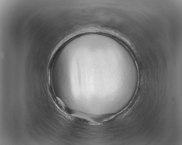 X0000082741509200702161919