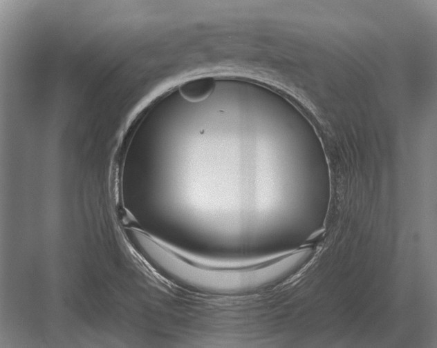 X0000082741510200702161920