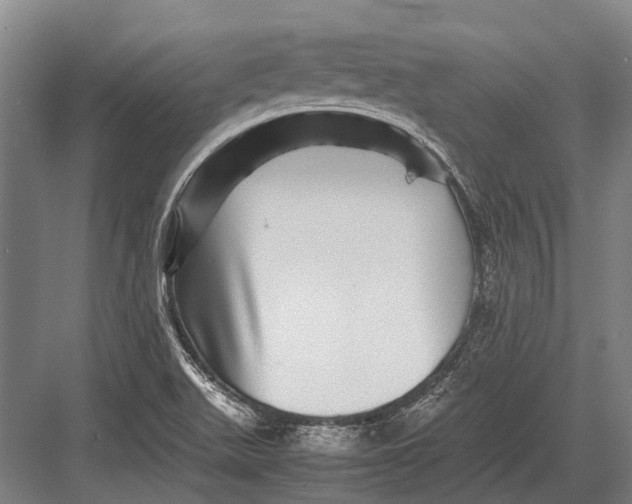 X0000082741511200702161920