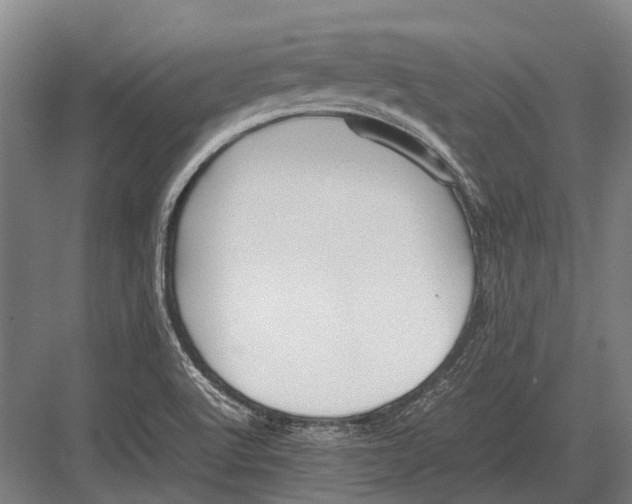 X0000082741512200702161920