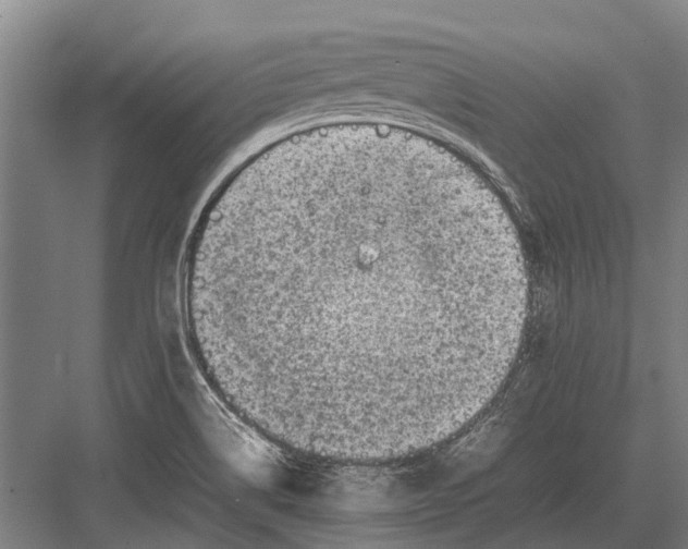 X0000082741514200702161920