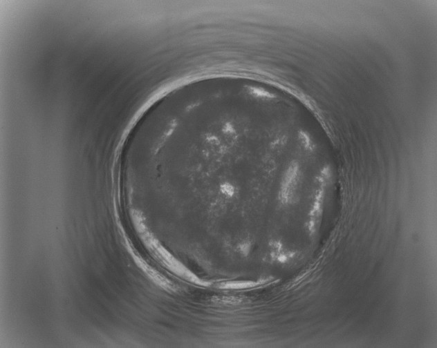 X0000082741515200702161920