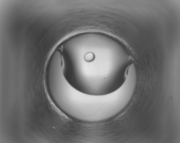 X0000082741518200702161920