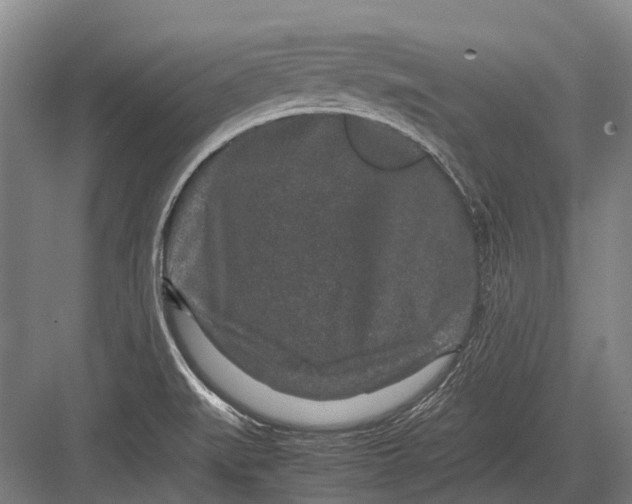 X0000082741519200702161920