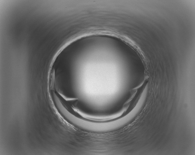 X0000082741520200702161920