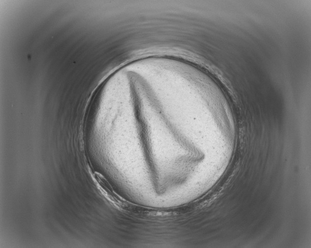 X0000082741521200702161920