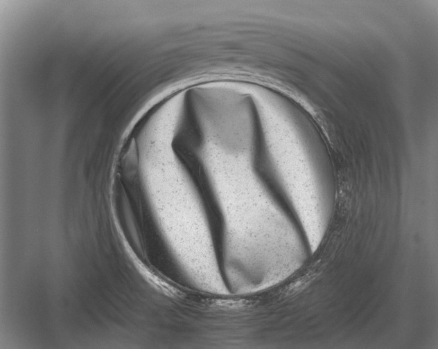 X0000082741523200702161920