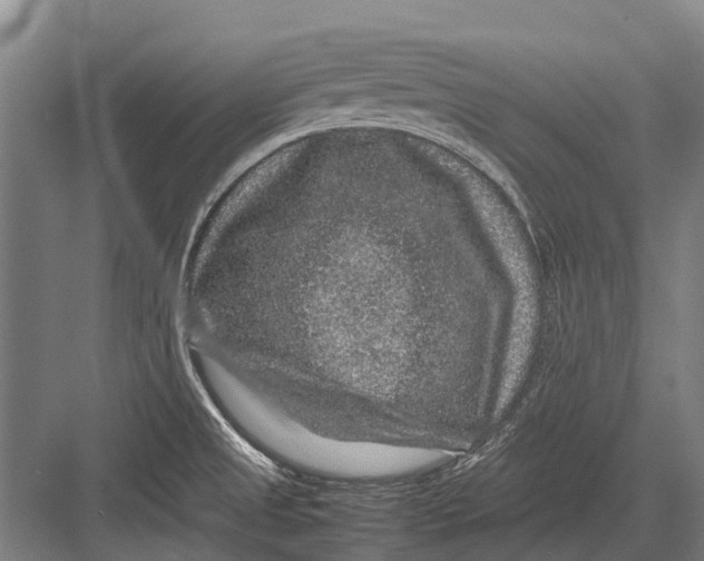 X0000082741525200702161920