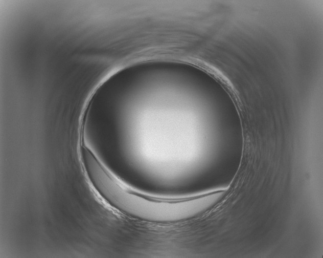 X0000082741528200702161920