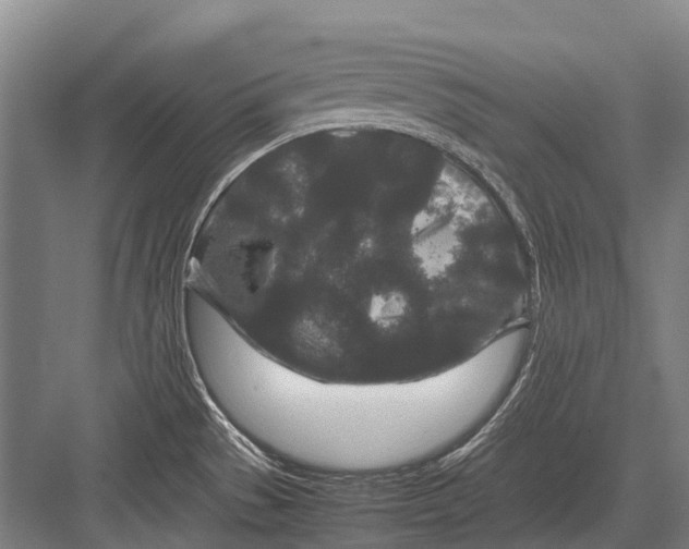 X0000082741529200702161920