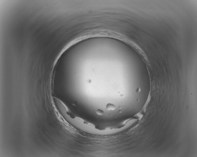 X0000082741530200702161920