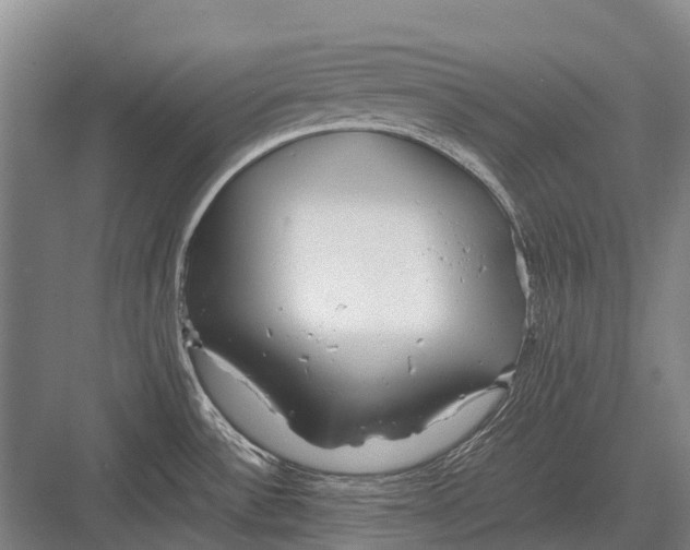 X0000082741532200702161920