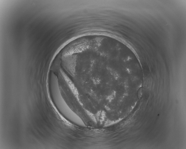 X0000082741533200702161920