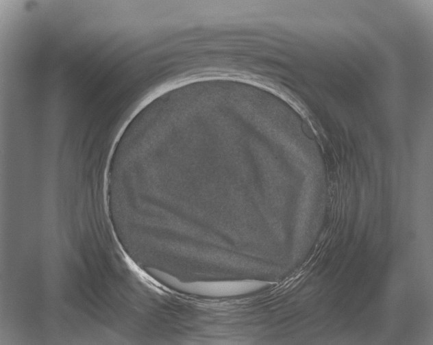 X0000082741535200702161920