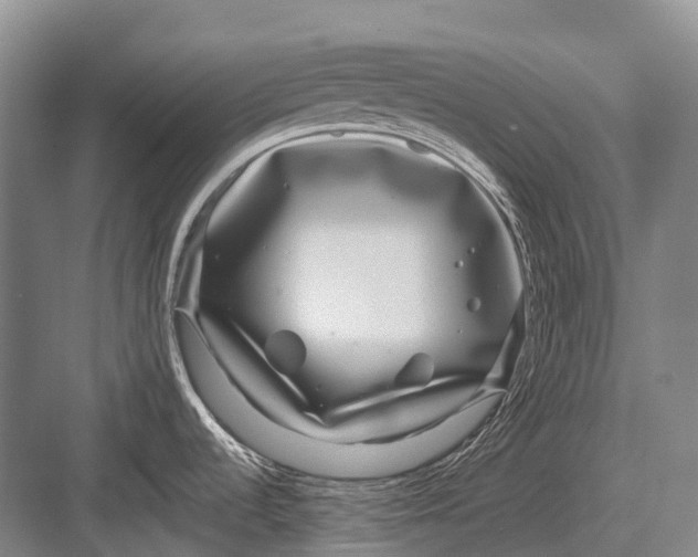 X0000082741536200702161920