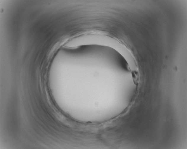 X0000082740001200702240025