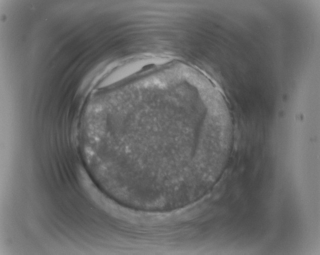 X0000082740002200702240025