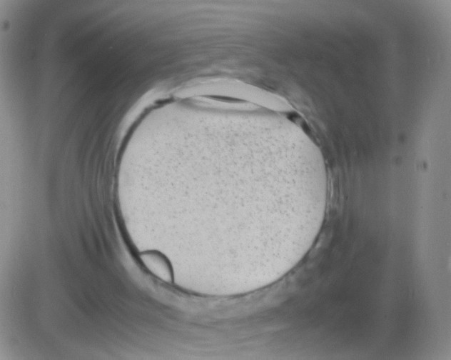 X0000082740003200702240025