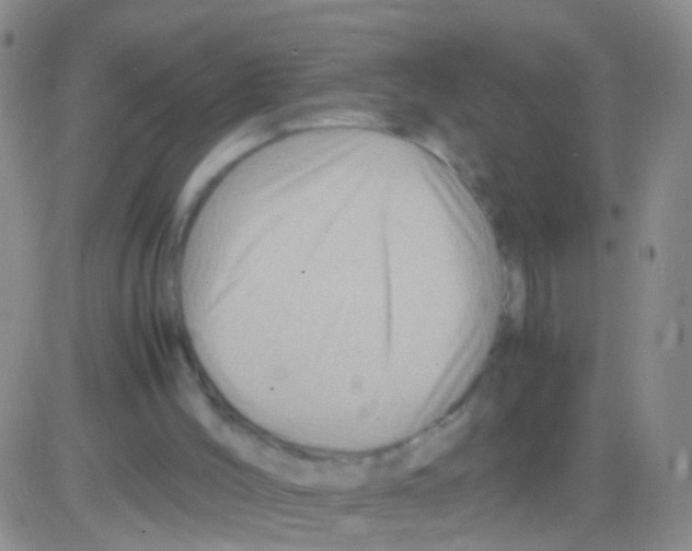 X0000082740004200702240025