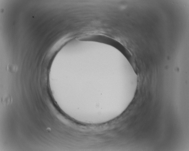 X0000082740005200702240025