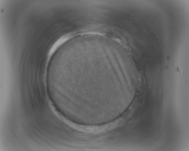 X0000082740006200702240025