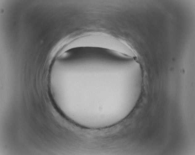 X0000082740007200702240025