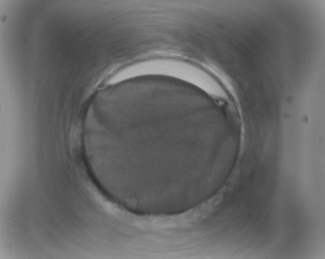 X0000082740009200702240025