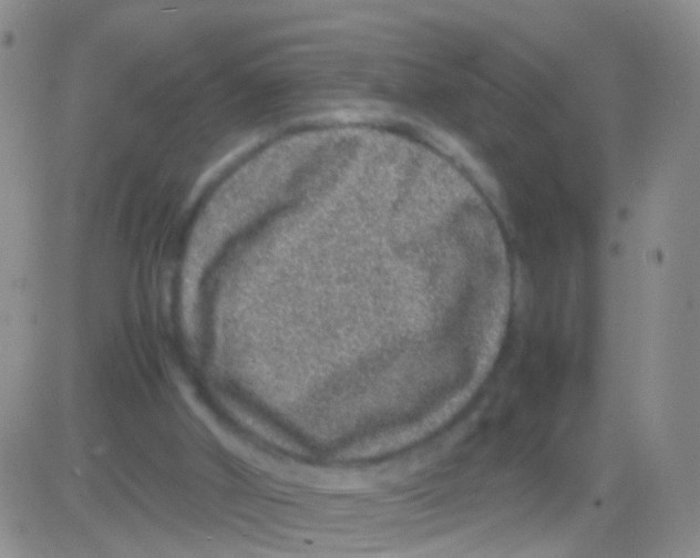 X0000082740010200702240025