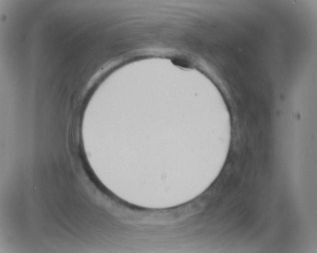 X0000082740011200702240025