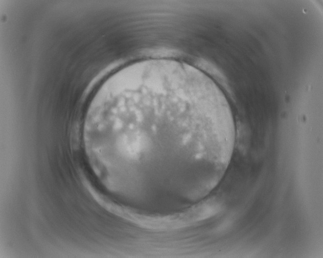 X0000082740012200702240025