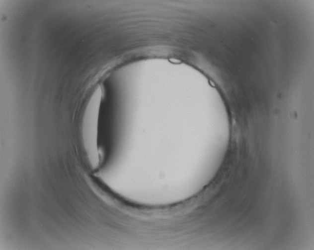 X0000082740013200702240025