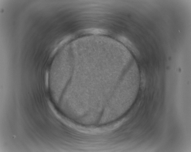 X0000082740014200702240025