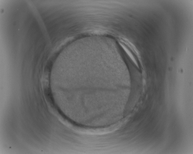 X0000082740017200702240024