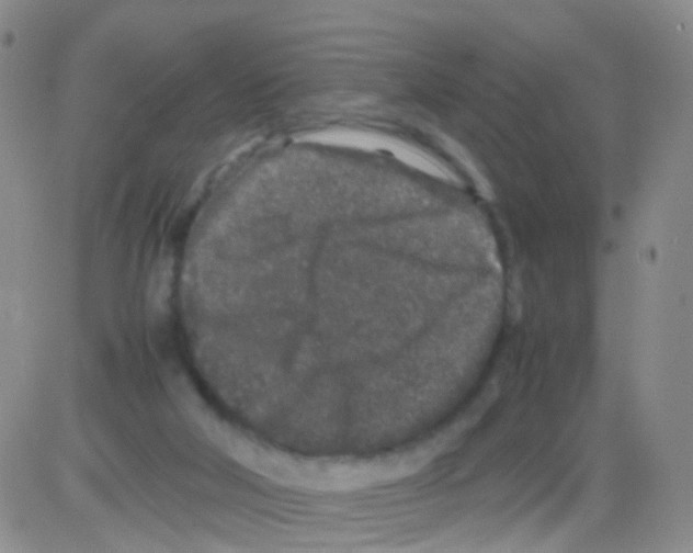 X0000082740018200702240024