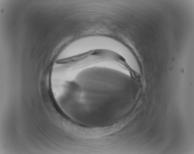 X0000082740019200702240024