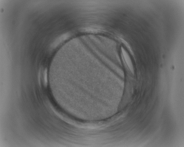 X0000082740020200702240024