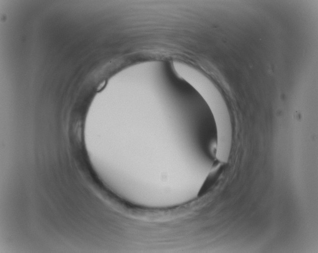 X0000082740021200702240024