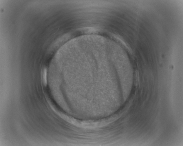 X0000082740022200702240024