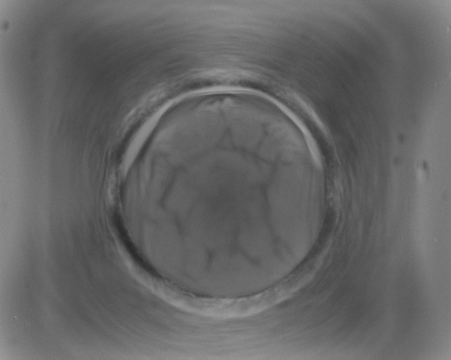 X0000082740023200702240024