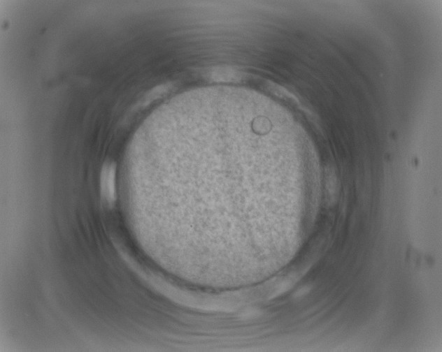 X0000082740028200702240024