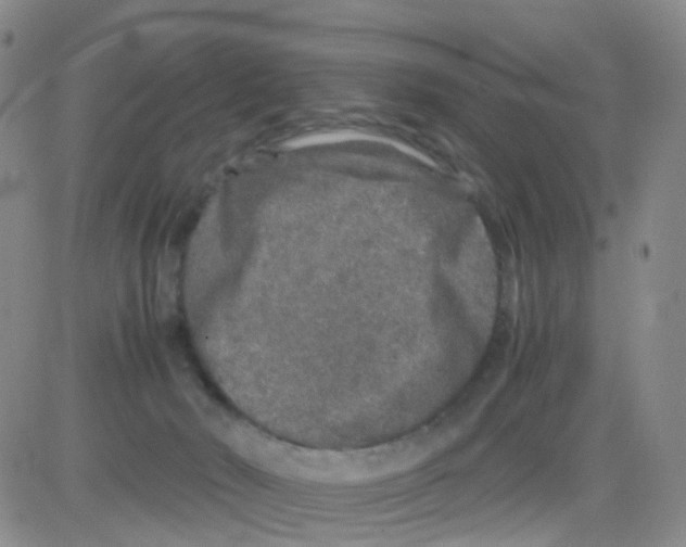 X0000082740030200702240024