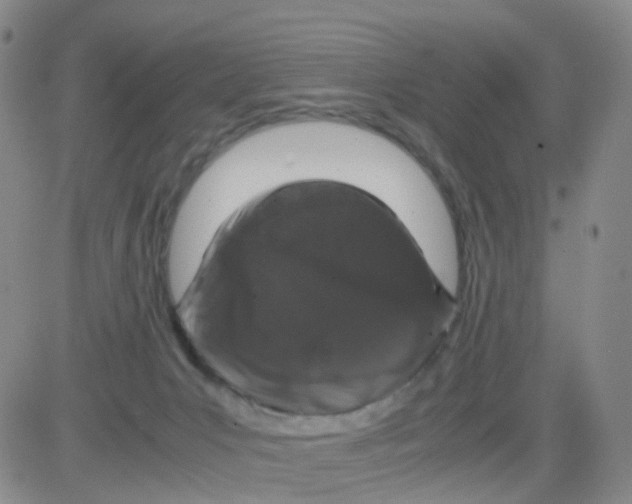 X0000082740031200702240024