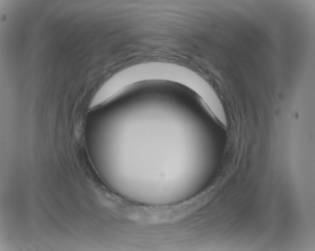 X0000082740033200702240024